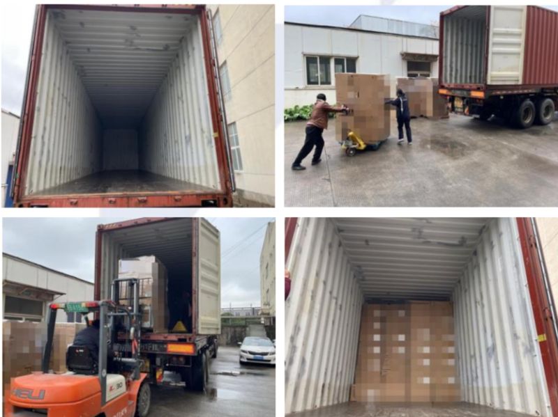 Harvesting Process - Natural Resin Collection East Africa